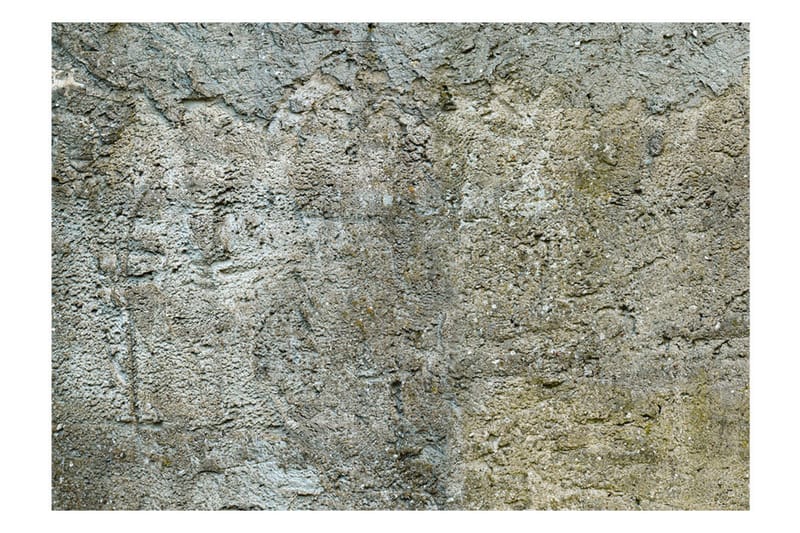 Canvastavle Stony Barrier 250x175 - Artgeist sp. z o. o. - Boligtilbehør - Vægdekoration - Tapeter - Fototapeter