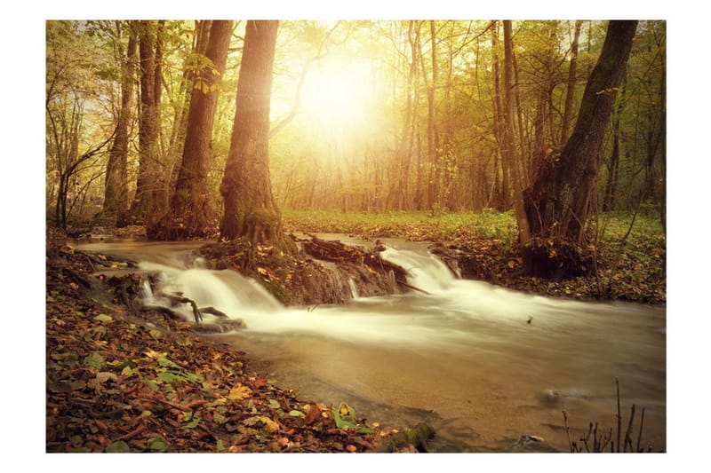 Canvastavle Sunny Current 100x70 - Artgeist sp. z o. o. - Boligtilbehør - Vægdekoration - Tapeter - Fototapeter