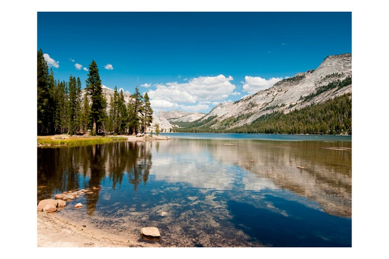 Canvastavle Tenaya Lake Yosemite National Park 250x193 - Artgeist sp. z o. o. - Fototapeter