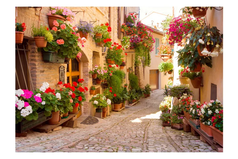 Canvastavle The Alley In Spello Italien 250x175 - Artgeist sp. z o. o. - Boligtilbehør - Vægdekoration - Tapeter - Fototapeter