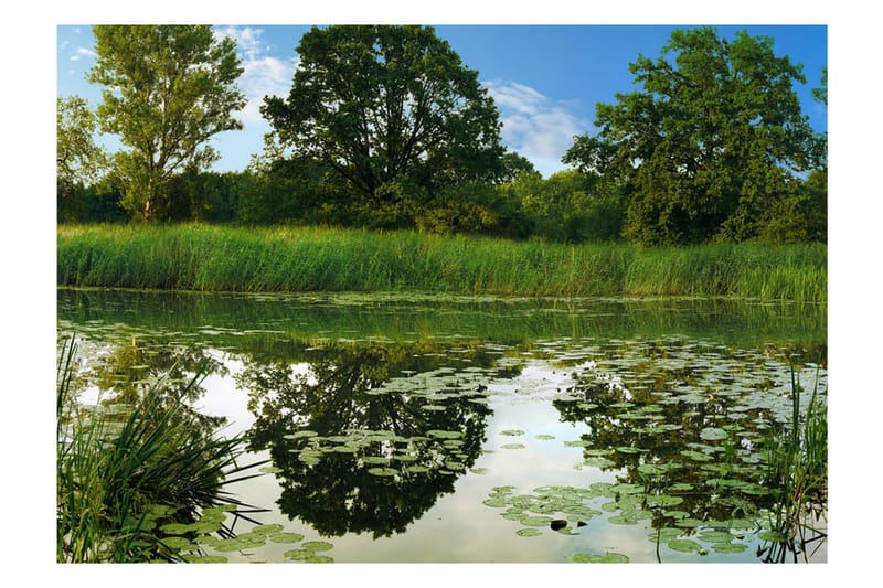 Canvastavle The Magic Pond 200x140 - Artgeist sp. z o. o. - Boligtilbehør - Vægdekoration - Tapeter - Fototapeter