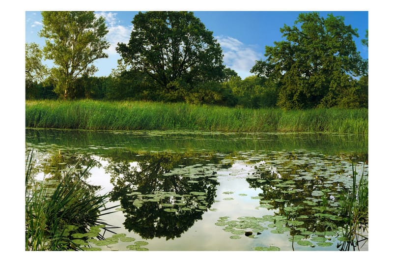 Canvastavle The Magic Pond 200x140 - Artgeist sp. z o. o. - Boligtilbehør - Vægdekoration - Tapeter - Fototapeter