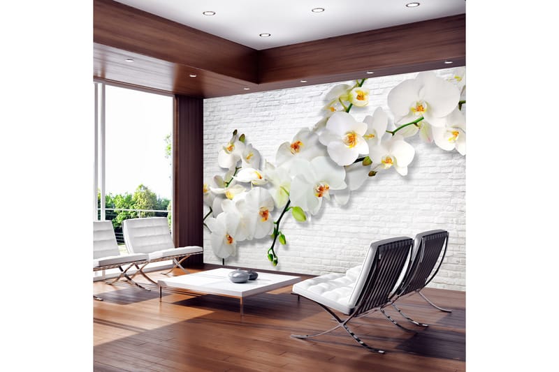 Canvastavle The Urban Orchid 250x175 - Artgeist sp. z o. o. - Fototapeter
