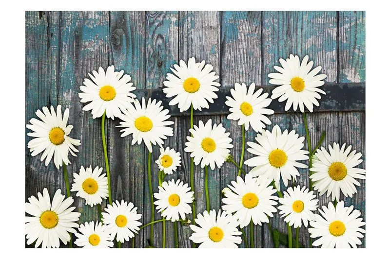 Canvastavle tilbage til uskylden 200x140 - Artgeist sp. z o. o. - Boligtilbehør - Vægdekoration - Tapeter - Fototapeter