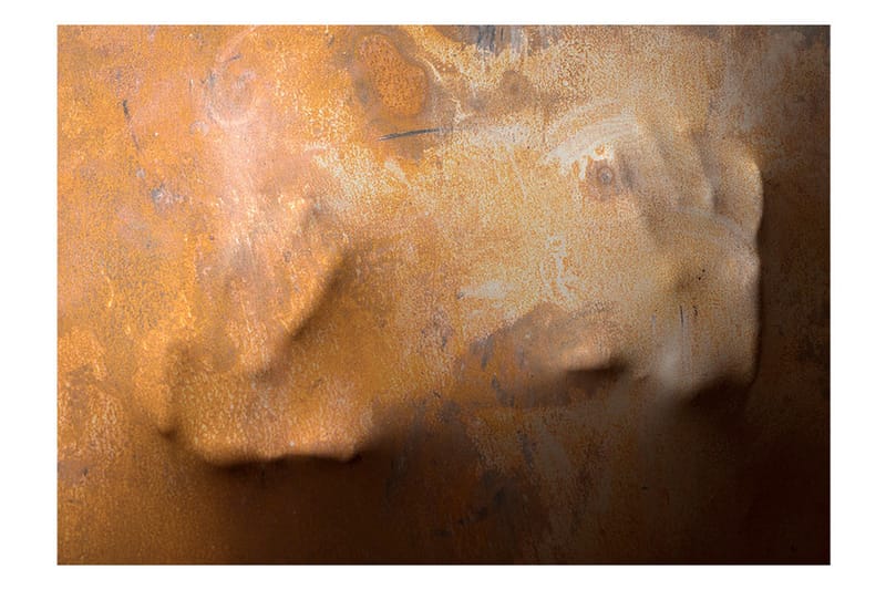 Canvastavle Touch 100x70 - Artgeist sp. z o. o. - Boligtilbehør - Vægdekoration - Tapeter - Fototapeter