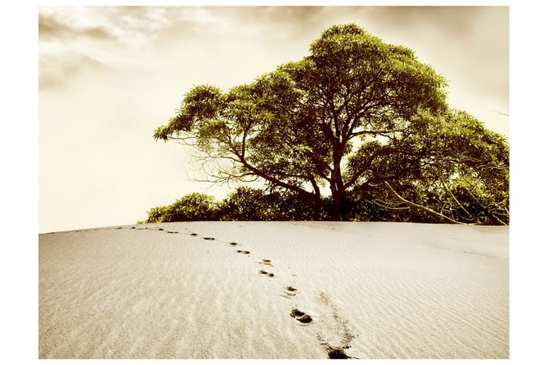 Canvastavle Træ ørken 200x154, Artgeist sp. z o. o.