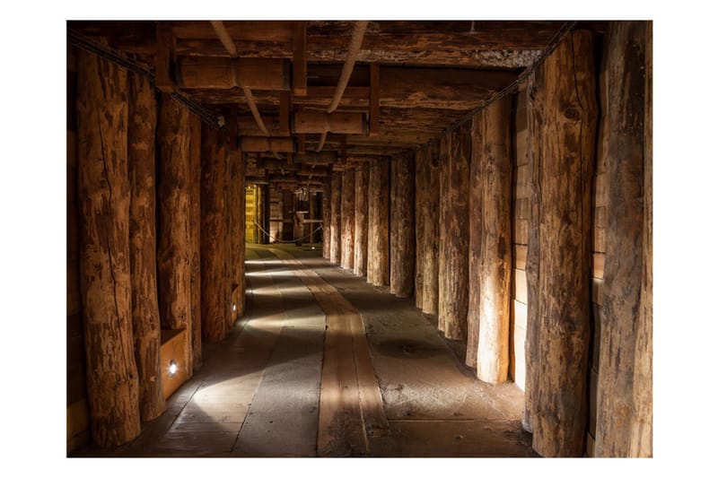 Canvastavle træpassage 200x154 - Artgeist sp. z o. o. - Boligtilbehør - Vægdekoration - Tapeter - Fototapeter