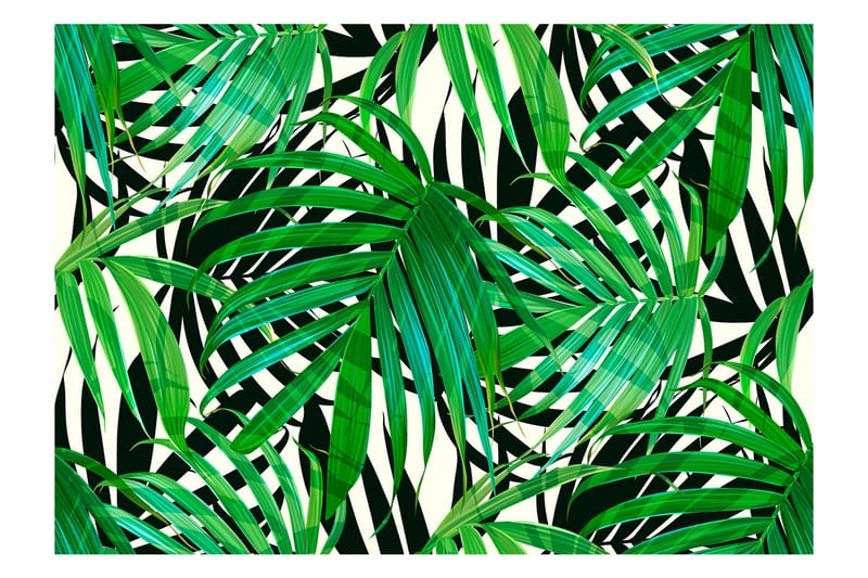 Canvastavle Tropical Leaves 300x210, Artgeist sp. z o. o.