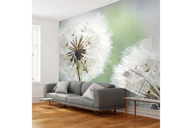 Canvastavle Two Dandelions 200x154, Artgeist sp. z o. o.