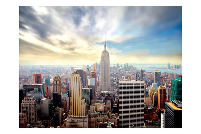 Canvastavle udsigt over Empire State Building NYC 250x193 - Artgeist sp. z o. o. - Boligtilbehør - Vægdekoration - Tapeter - Fototapeter