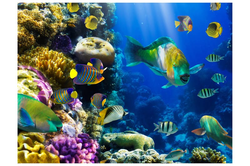 Canvastavle Underwater Paradise 200x154, Artgeist sp. z o. o.