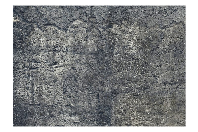 Canvastavle Vinterhule 400x280 - Artgeist sp. z o. o. - Boligtilbehør - Vægdekoration - Tapeter - Fototapeter