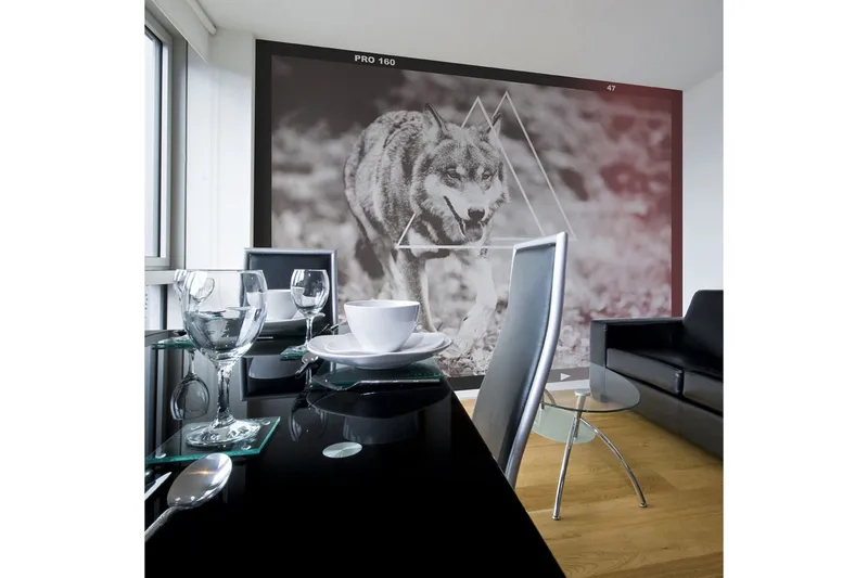 Canvastavle Wolf Foto 250x193, Artgeist sp. z o. o.