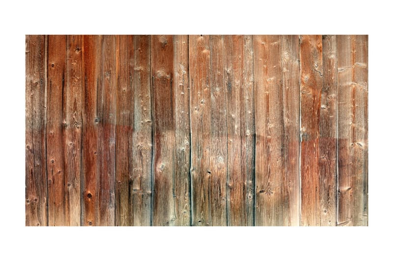 Canvastavle XXL Forest Cottage II 800x280 - Artgeist sp. z o. o. - Fototapeter