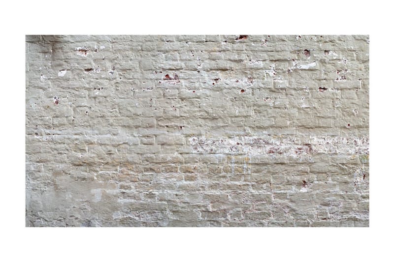 Canvastavle XXL Hidden Harmony II 800x280 - Artgeist sp. z o. o. - Boligtilbehør - Vægdekoration - Tapeter - Fototapeter