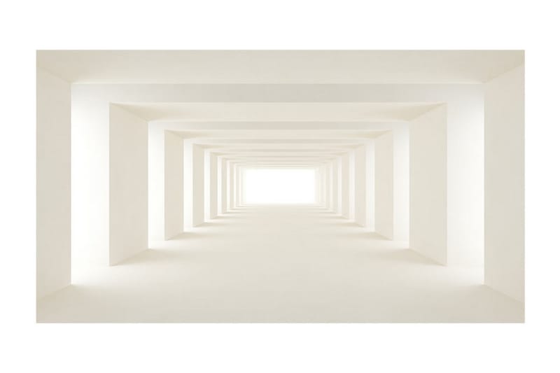 Canvastavle XXL Into The Light II 500x280 - Artgeist sp. z o. o. - Boligtilbehør - Vægdekoration - Tapeter - Fototapeter