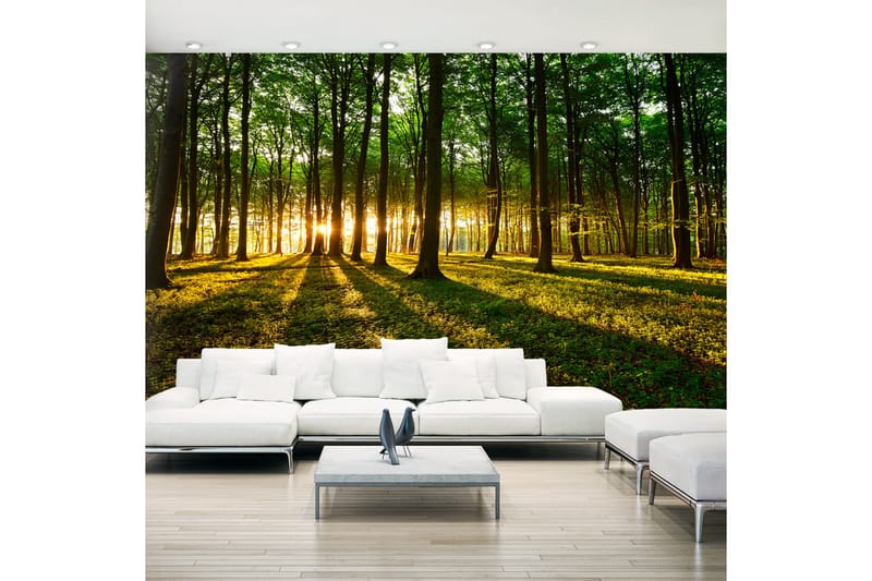 Canvastavle XXL Mystical Morning II 500x280 - Artgeist sp. z o. o. - Boligtilbehør - Vægdekoration - Tapeter - Fototapeter