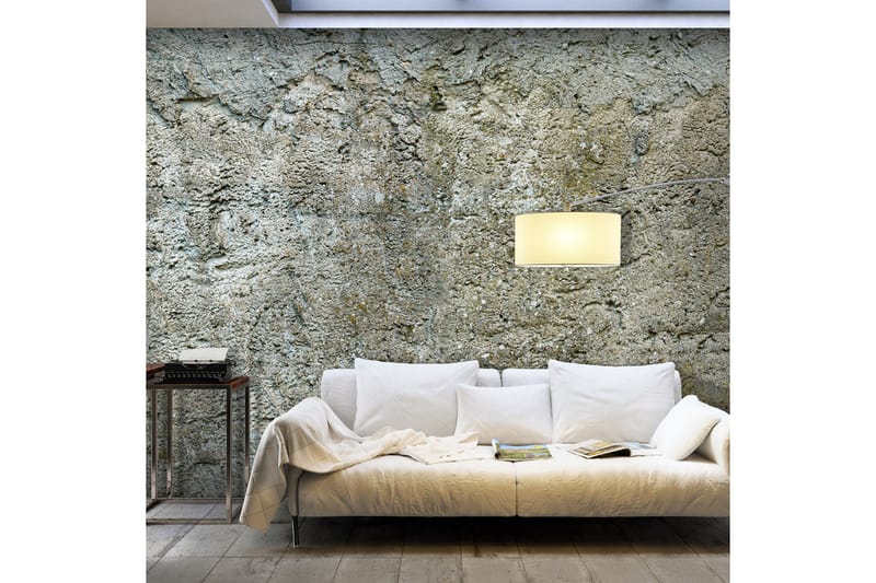 Canvastavle XXL Stony Barrier II 500x280 - Artgeist sp. z o. o. - Boligtilbehør - Vægdekoration - Tapeter - Fototapeter