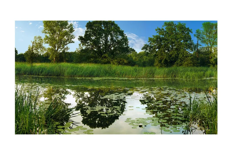 Canvastavle XXL The Magic Pond II 600x280 - Artgeist sp. z o. o. - Boligtilbehør - Vægdekoration - Tapeter - Fototapeter