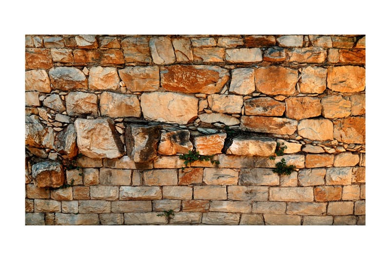 Canvastavle XXL Prelude of the Day II 600x280 - Artgeist sp. z o. o. - Boligtilbehør - Vægdekoration - Tapeter - Fototapeter