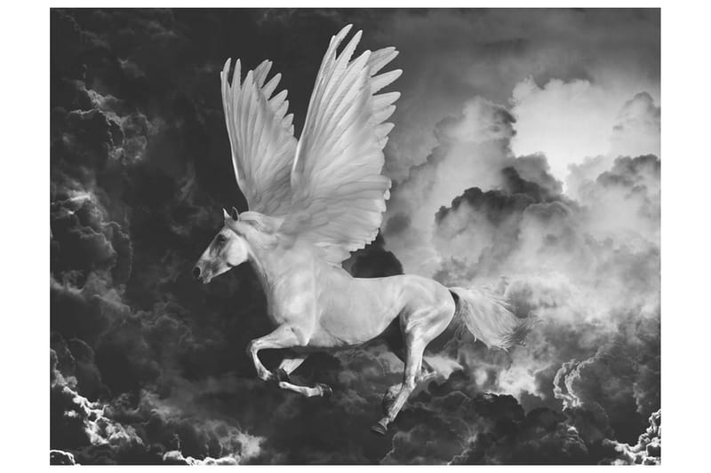 Canvastavle Pegasus På vejen til Mount Olympus 200x154 - Artgeist sp. z o. o. - Fototapeter
