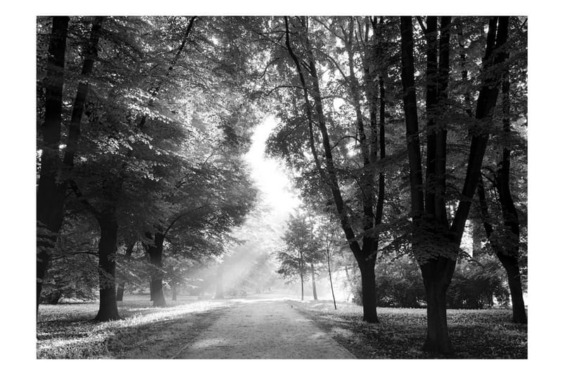 Canvastavle Path of Memories 150x105 - Artgeist sp. z o. o. - Boligtilbehør - Vægdekoration - Tapeter - Fototapeter