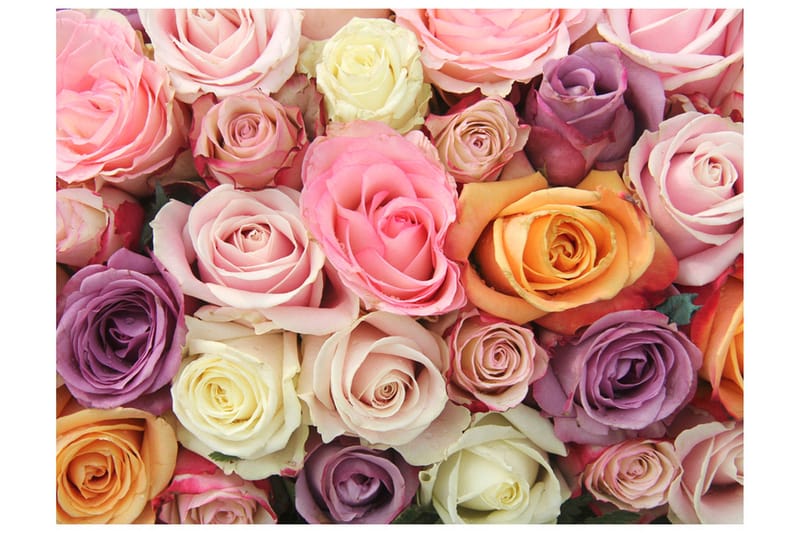 Canvastavle Pastel Roses 200x154, Artgeist sp. z o. o.