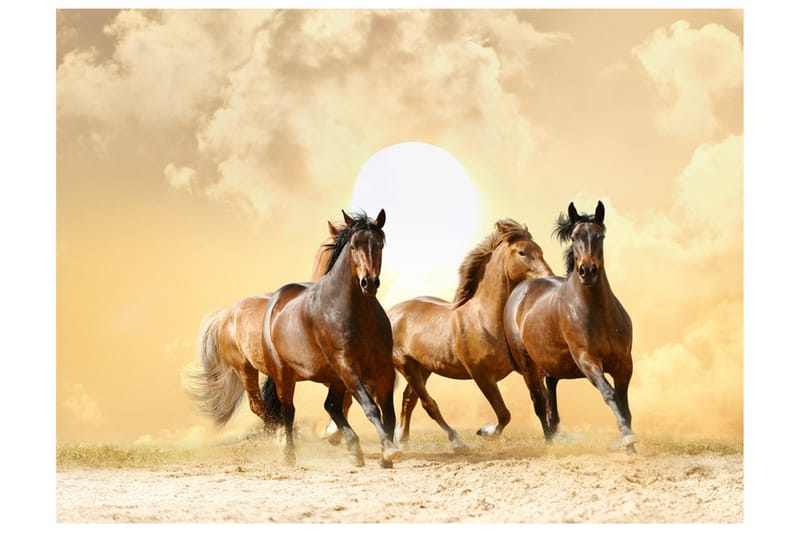 Canvastavlening Løbende hest 200x154, Artgeist sp. z o. o.