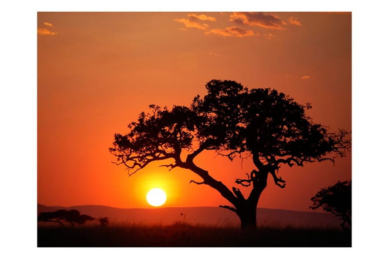 Fototapet Afrika Solnedgang 400x309 - Artgeist sp. z o. o. - Boligtilbehør - Vægdekoration - Tapeter - Fototapeter