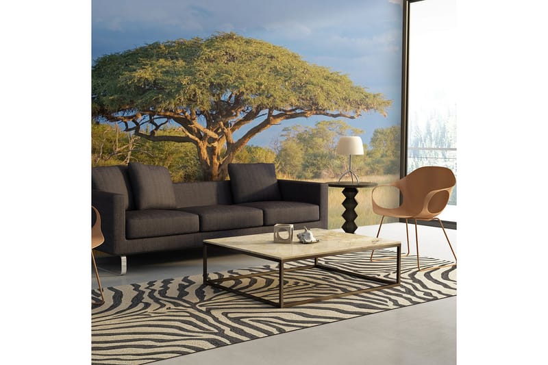 Fototapet Afrikansk Akacie Træ Hwange 350x270 - Artgeist sp. z o. o. - Boligtilbehør - Vægdekoration - Tapeter - Fototapeter