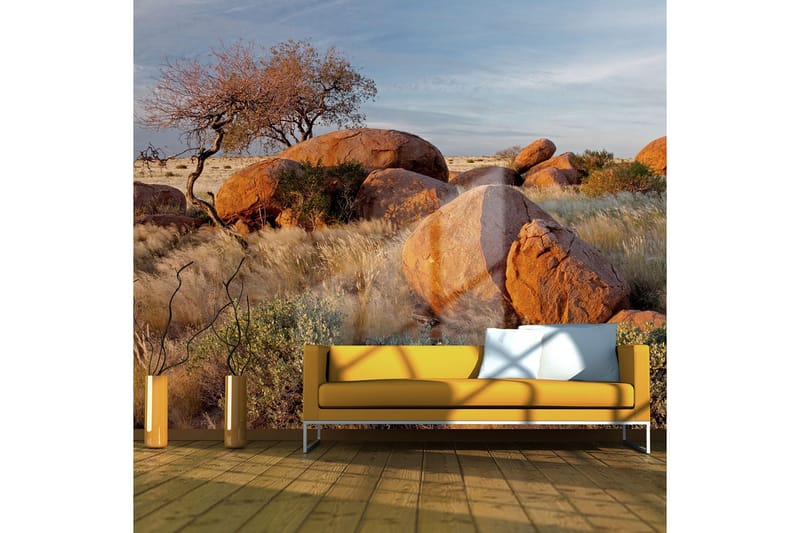 Fototapet Afrikansk Landskab Namibia 250x193 - Artgeist sp. z o. o. - Boligtilbehør - Vægdekoration - Tapeter - Fototapeter