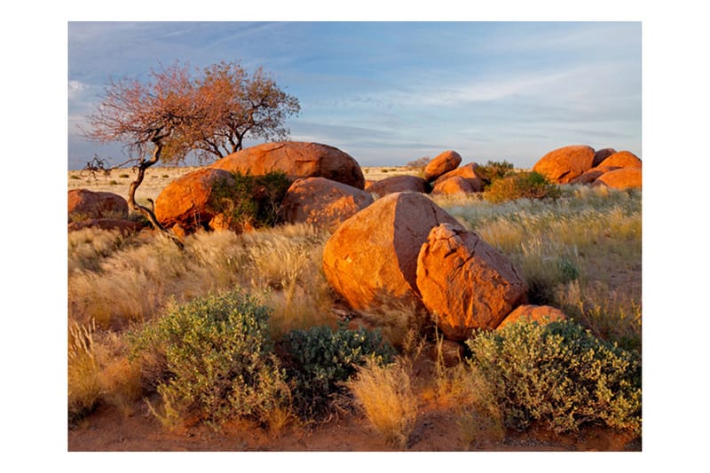 Fototapet Afrikansk Landskab Namibia 250x193 - Artgeist sp. z o. o. - Boligtilbehør - Vægdekoration - Tapeter - Fototapeter