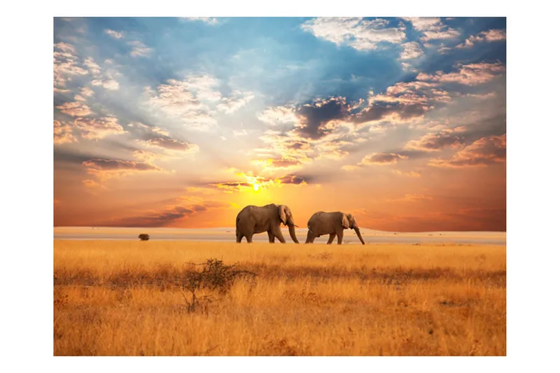 Fototapet Afrikanske Savanne Elefanter 400x309, Artgeist sp. z o. o.