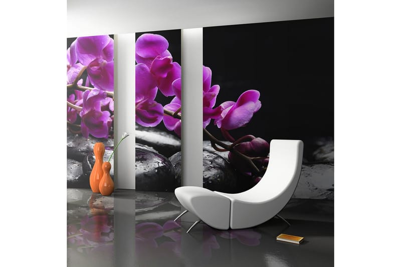 Fototapet Afslapning Orkidé Og Sten 450x270, Artgeist sp. z o. o.