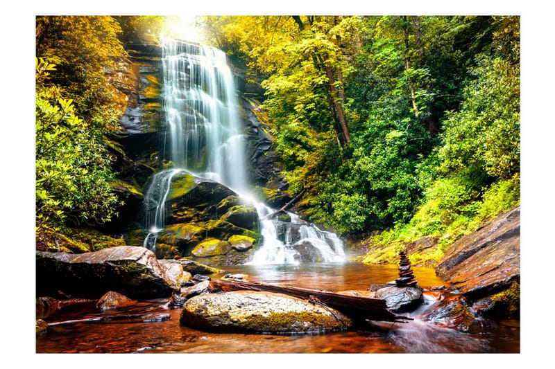 Fototapet Another Wonder Of Nature 300x210, Artgeist sp. z o. o.