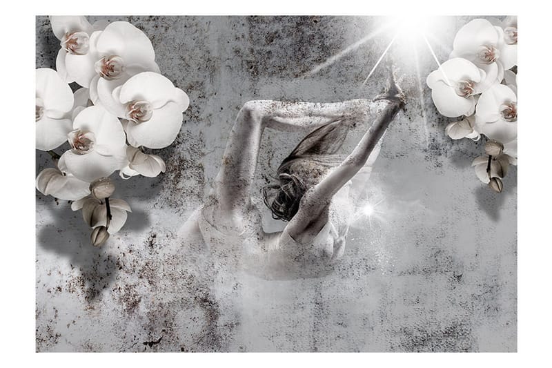 Fototapet Arrangement With Orchid 250x175 - Artgeist sp. z o. o. - Boligtilbehør - Vægdekoration - Tapeter - Fototapeter