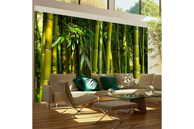 Fototapet Asiatisk Bambussskov 450x270, Artgeist sp. z o. o.