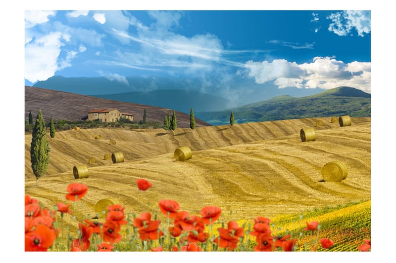 Fototapet Autumn Landscape 250x175 - Artgeist sp. z o. o. - Boligtilbehør - Vægdekoration - Tapeter - Fototapeter