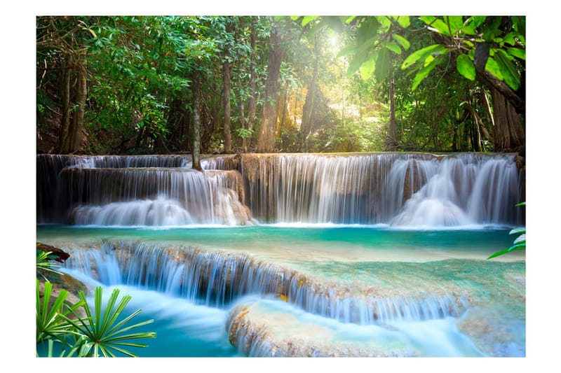 Fototapet Awakening Of Nature 100x70 - Artgeist sp. z o. o. - Boligtilbehør - Vægdekoration - Tapeter - Fototapeter