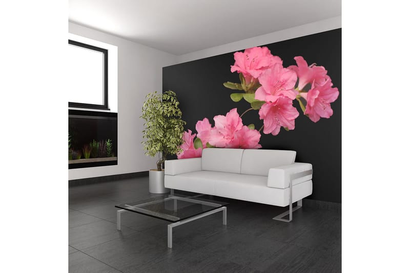 Fototapet Azalea In Black 400x309, Artgeist sp. z o. o.