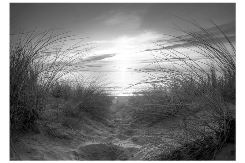 Fototapet Beach Black And White 200x140 - Artgeist sp. z o. o. - Boligtilbehør - Vægdekoration - Tapeter - Fototapeter