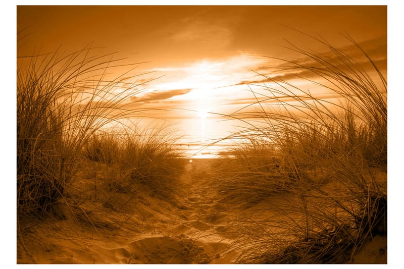 Fototapet Beach Sepia 250x175 - Artgeist sp. z o. o. - Boligtilbehør - Vægdekoration - Tapeter - Fototapeter