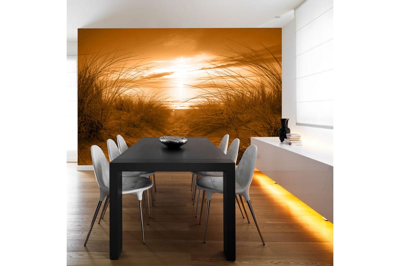 Fototapet Beach Sepia 250x175 - Artgeist sp. z o. o. - Boligtilbehør - Vægdekoration - Tapeter - Fototapeter