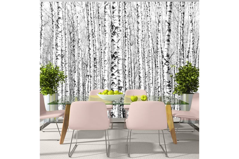 Fototapet Birch Forest 200x140, Artgeist sp. z o. o.