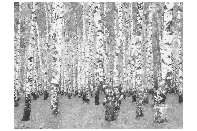 Fototapet Birk Afskildt 250x193, Artgeist sp. z o. o.