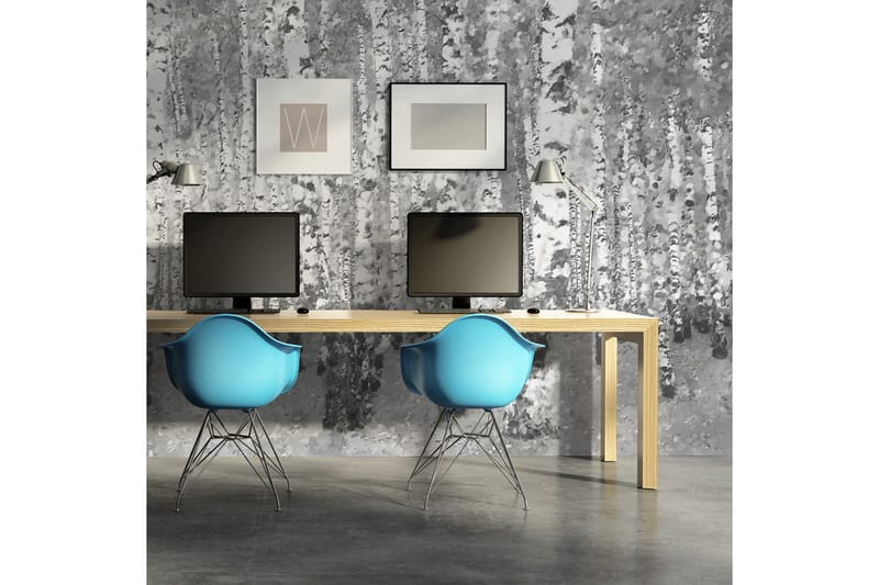 Fototapet Birk Afskildt 450x270, Artgeist sp. z o. o.