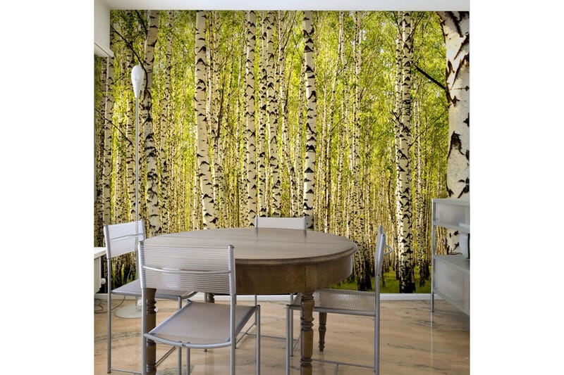 Fototapet Birketræs Skov 300x231, Artgeist sp. z o. o.