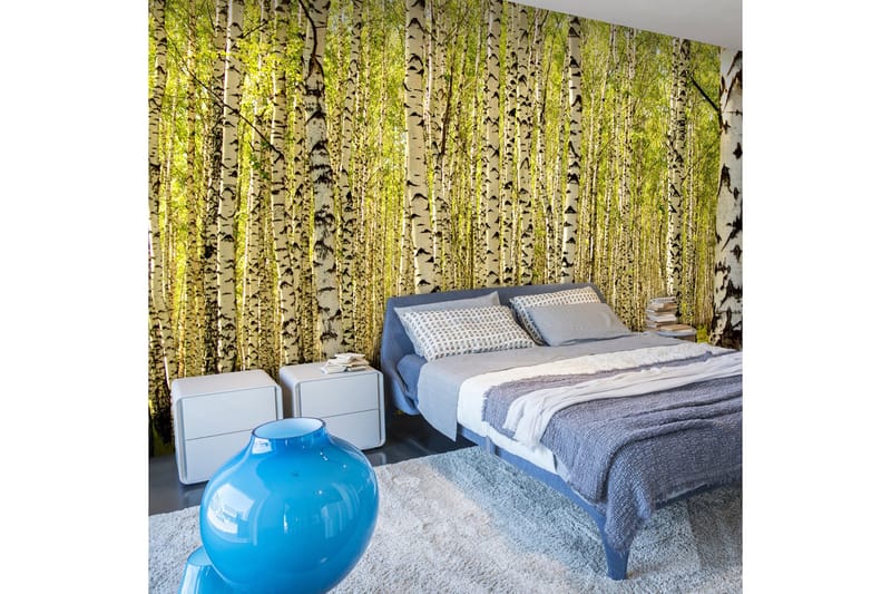 Fototapet Birketræs Skov 450x270, Artgeist sp. z o. o.