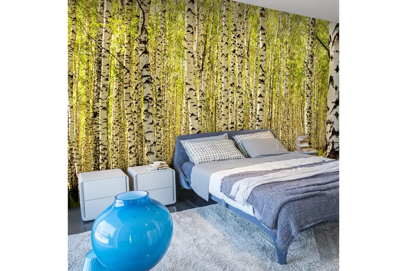 Fototapet Birketræs Skov 450x270, Artgeist sp. z o. o.