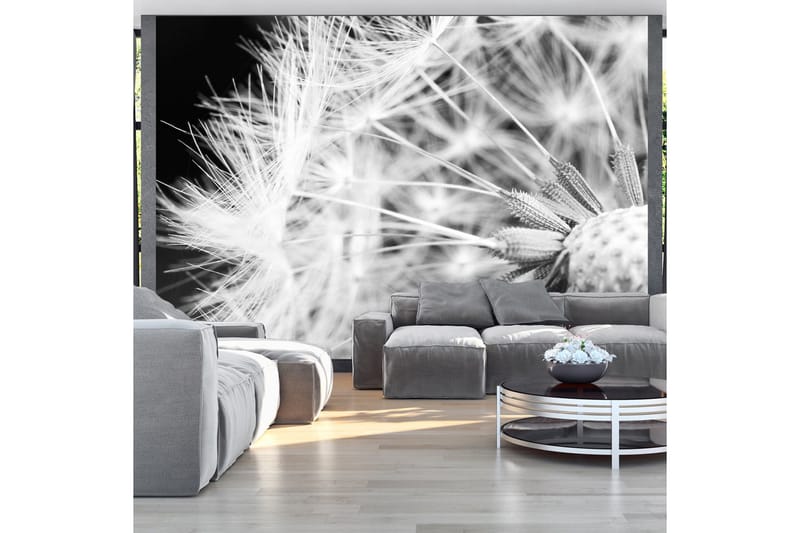 Fototapet Black And White Dandelion 300x210, Artgeist sp. z o. o.